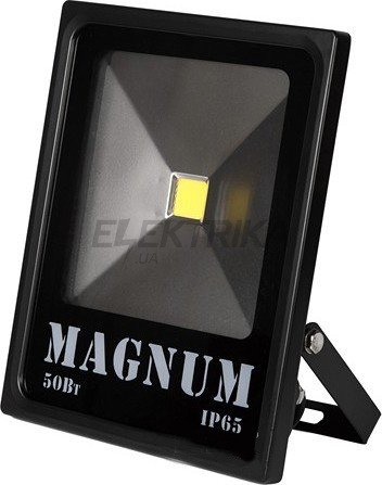 Прожектор світлодіодний MAGNUM FL 10 LED 50 Вт 220В 6500К IP65