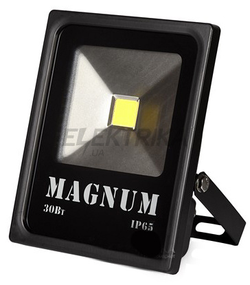 Прожектор світлодіодний MAGNUM FL 10 LED 30 Вт 220В 6500К IP65