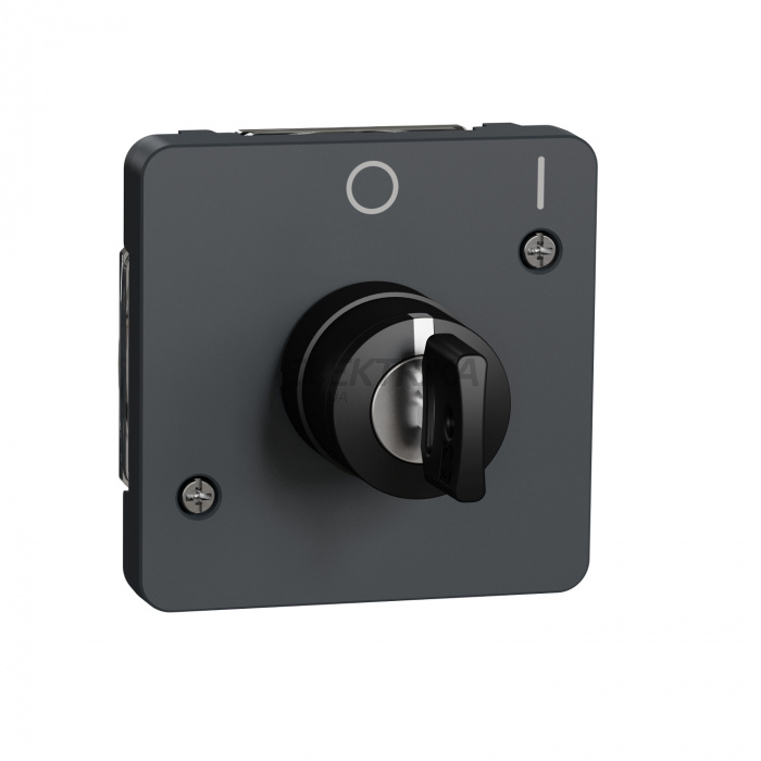 Перемикач із ключем Schneider Electric MUREVA S, IP55 MUR35062