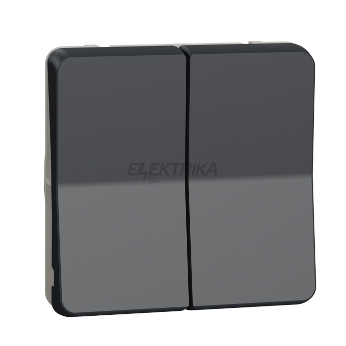 Клавішний вимикач Schneider Electric Mureva Styl - double 2-way switch - flush & surface mounting - grey