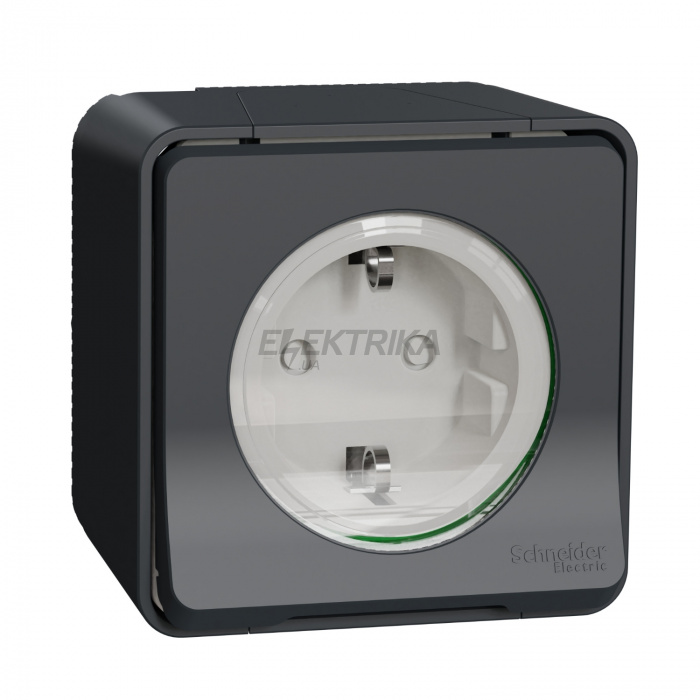 Розетка Schneider Electric Mureva Styl - socket-outlet - 16A - 2P + E - shutters - grey MUR36034