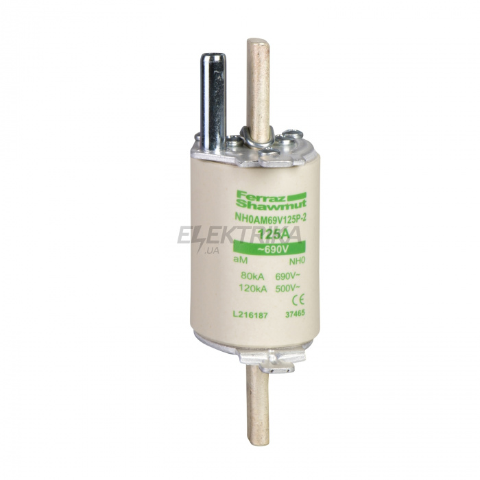 Запобіжники Schneider Electric Запобіжник OE АМ 160 DF4GA1161