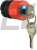 Кнопка аварійна АСКО-УКРЕМ XB2-ES74 d30mm із ключем (A0140050024)