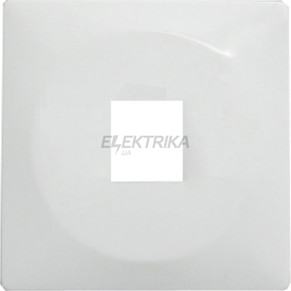 Панель e.lux.16111L.pn.aluminium для одинарної розетки під Jack RJ12 або RJ45, "алюміній"