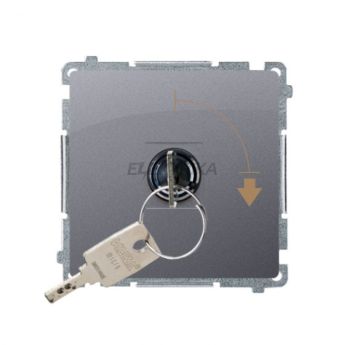 Вимикач із ключем Simon Basic на 2 положення, сталь (BMW1K.01/21)